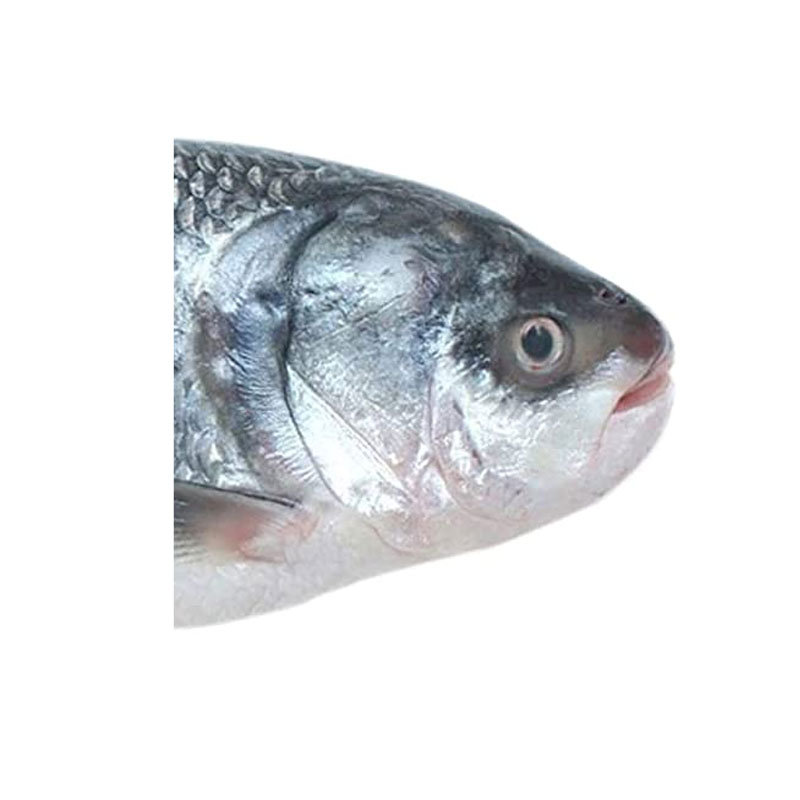 Catla Head (কাতলা মাছের মাথা) - 1 head of about 500 gram
