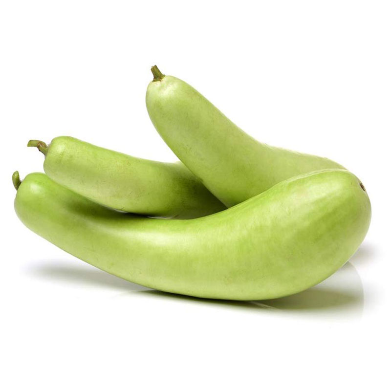 Bottle gourd (Medium) / লাউ (মাঝারি) / लौकी - 1 Piece