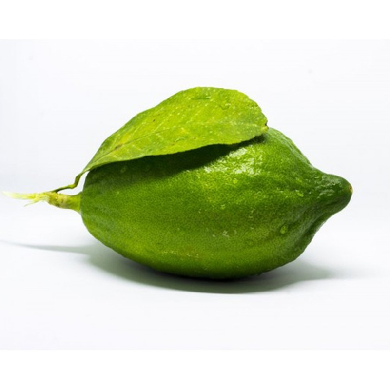 Kaffir lime / গন্ধরাজ লেবু / गंधराज नीम्बू - 3 pieces