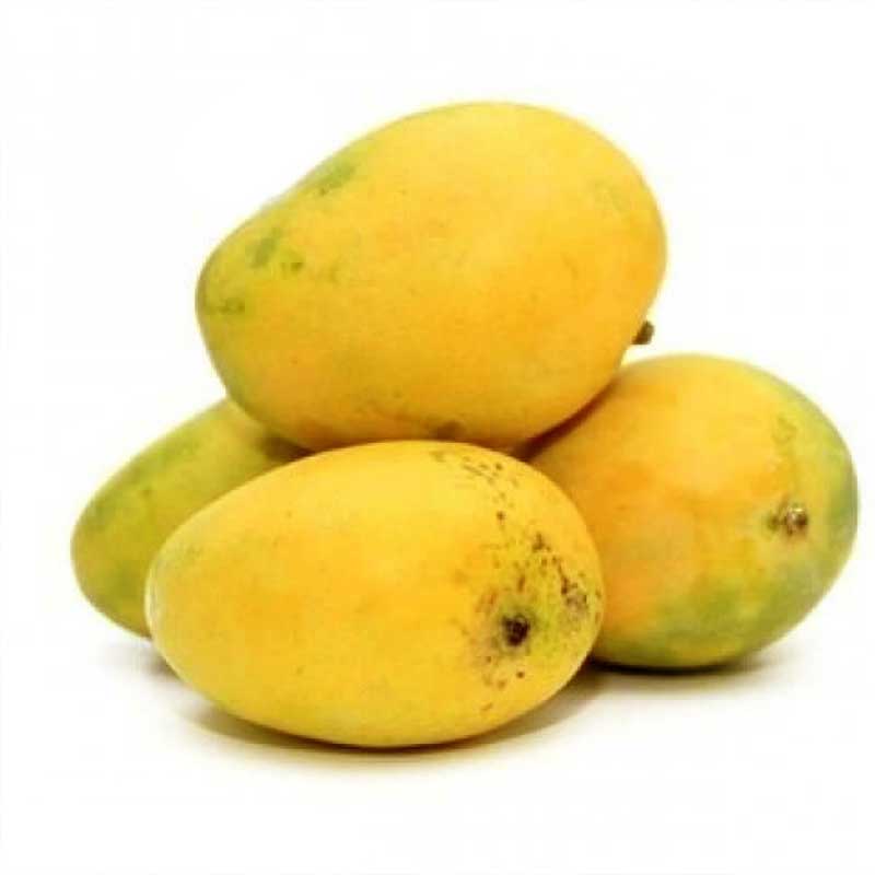 Himsagar Mango - 1 KG