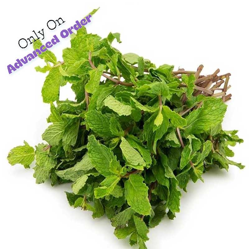 Mint / Pudina / পুদিনা / पुदीना - 1 Bunch