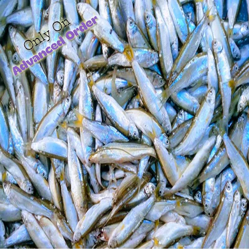 Boroli fish (বোরোলি মাছ) - 500 gram net (625 gram gross)