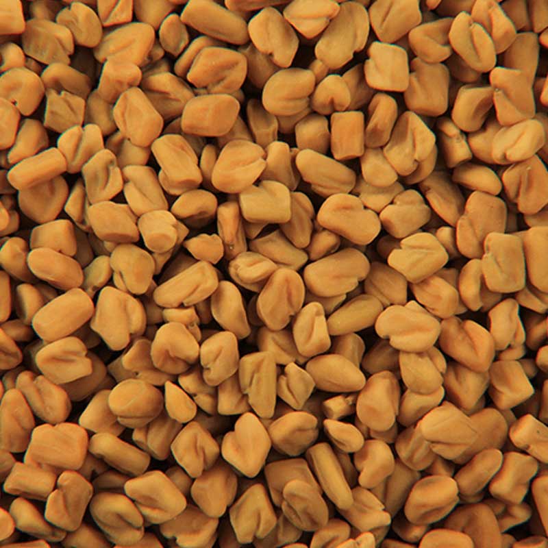 Fenugreek / মেথি / मेथी - 100 gram