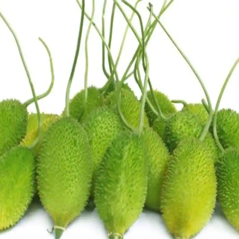 Spiny Gourd (কাকরোল / ककोड़ा) - 500 gram