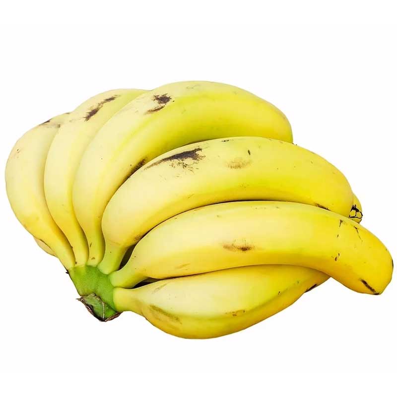 Singapuri Banana / सिंगापुरी केला / সিঙ্গাপুরি কলা - 12 pieces / 1 dozen