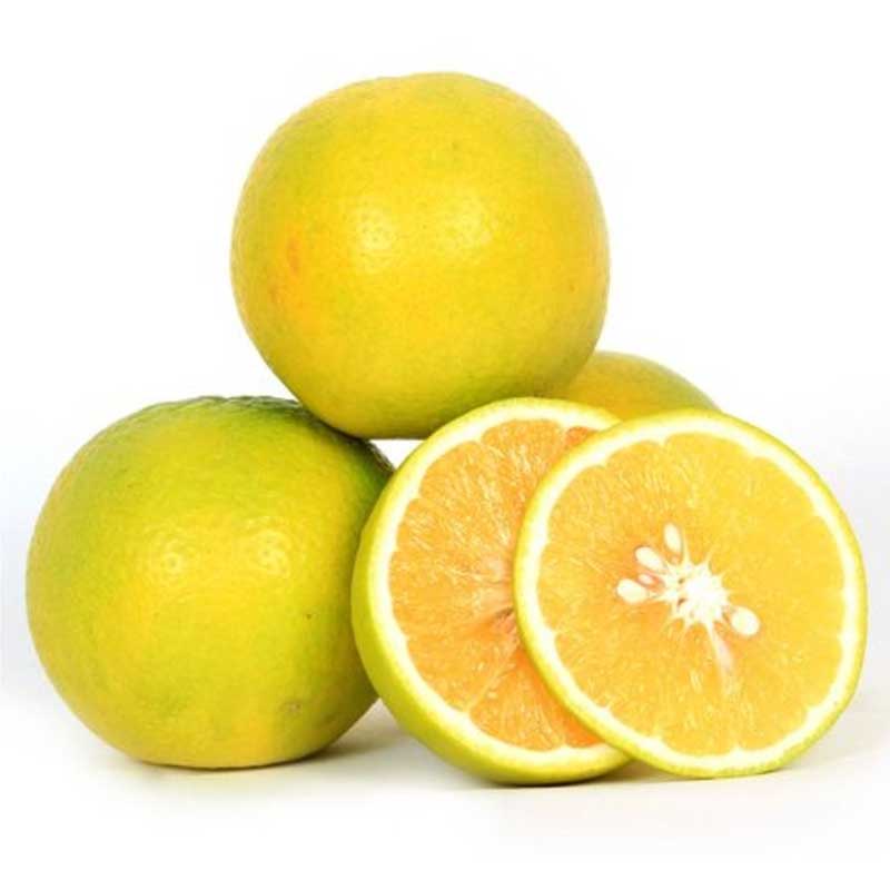 Sweet Lemon / Mousambi / মোসাম্বি / মুসাম্বি / मौसंबी - 1 KG