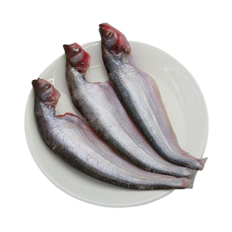 Pabda পাবদা (Medium Sized) - Weight - Gross 650 gram Net 500 gram