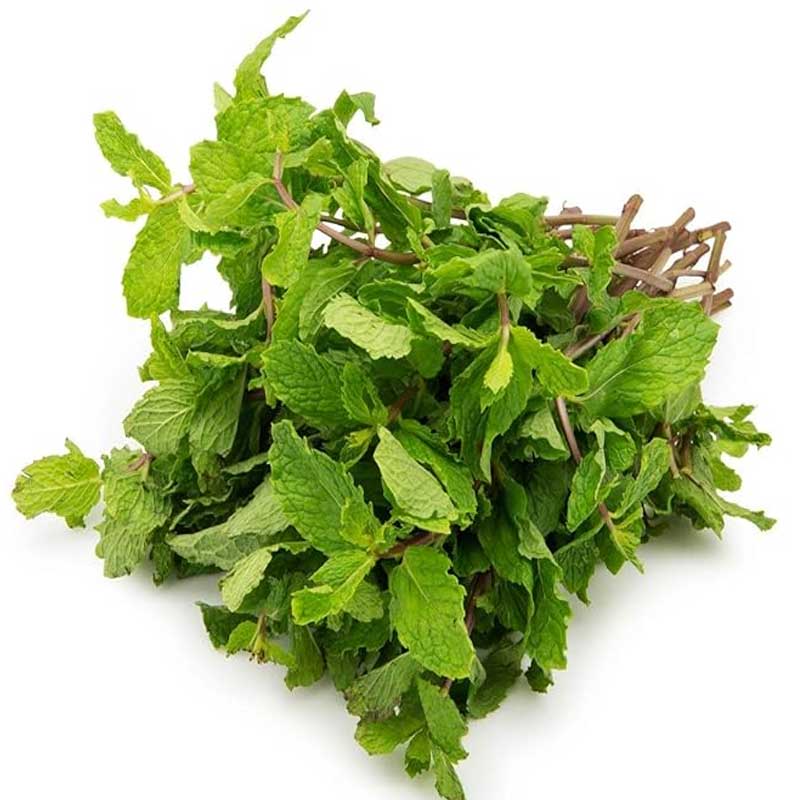 Mint / Pudina / পুদিনা / पुदीना - 1 Bunch